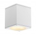 Светильник SLV BIG THEO CEILING OUT IP44